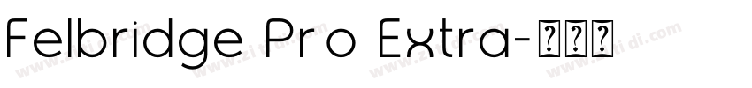 Felbridge Pro Extra字体转换 Felbridge Pro Extra字体转换